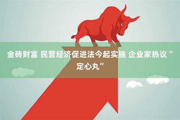 金砖财富 民营经济促进法今起实施 企业家热议“定心丸”