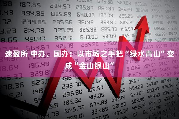 速盈所 中办、国办：以市场之手把“绿水青山”变成“金山银山”