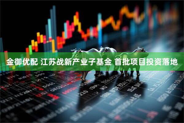 金御优配 江苏战新产业子基金 首批项目投资落地