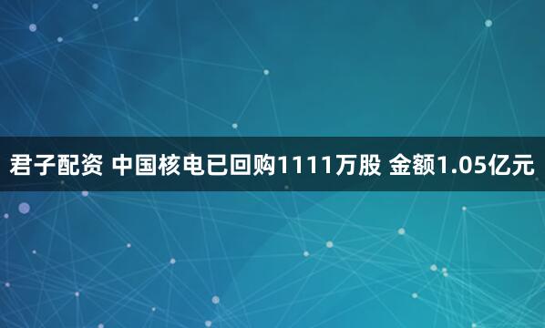 君子配资 中国核电已回购1111万股 金额1.05亿元