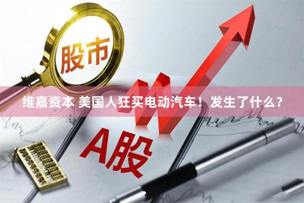 维嘉资本 美国人狂买电动汽车！发生了什么？