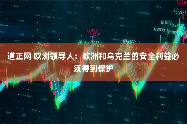 道正网 欧洲领导人：欧洲和乌克兰的安全利益必须得到保护