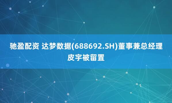 驰盈配资 达梦数据(688692.SH)董事兼总经理皮宇被留置