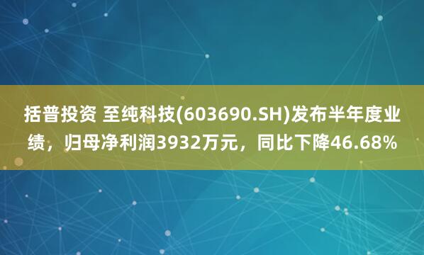 括普投资 至纯科技(603690.SH)发布半年度业绩，归母净利润3932万元，同比下降46.68%