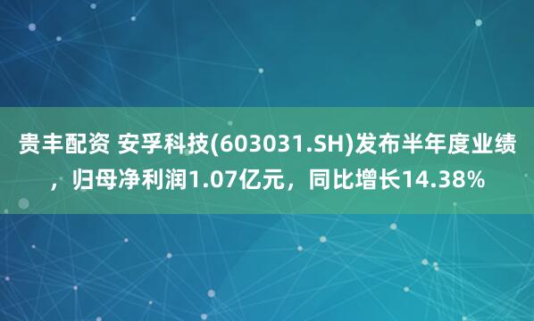 贵丰配资 安孚科技(603031.SH)发布半年度业绩，归母净利润1.07亿元，同比增长14.38%