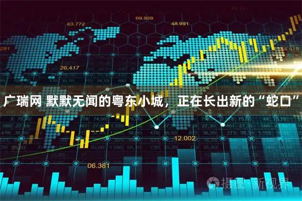 广瑞网 默默无闻的粤东小城，正在长出新的“蛇口”